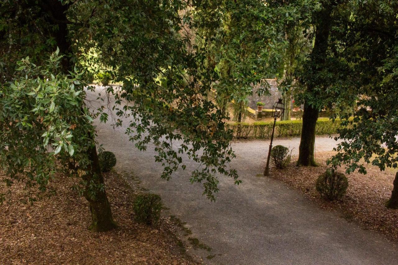 דירות לוקה La Finestra Sul Parco מראה חיצוני תמונה